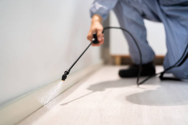 Bed Bug Pre-Treatment Preparation Assessment in Mebane