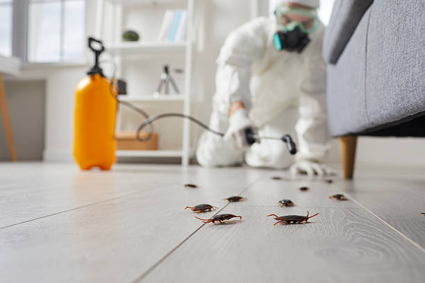 Post-Treatment Bed Bug Interceptor Monitoring in Mebane